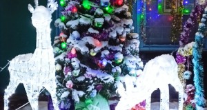 img20231225182152