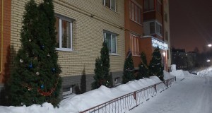 Слепнева13