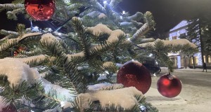 IMG_0040