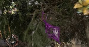 IMG-20221218-WA0009