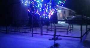 6leQehE28FU