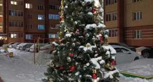 IMG-20230113-WA0039