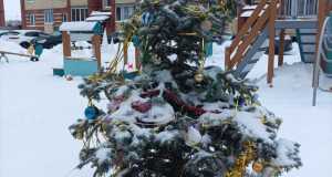 IMG-20230113-WA0043