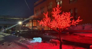 20211209_163615-1-1