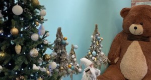 image-08-12-22-02-55-2