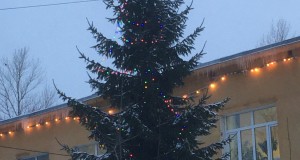 IMG_3440