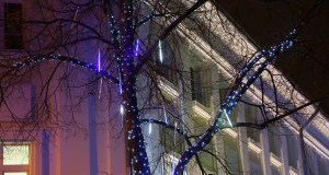 Image_0017