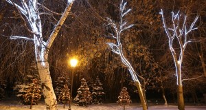 Image_0021
