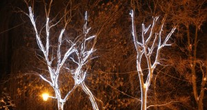 Image_003