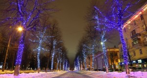 Image_00311