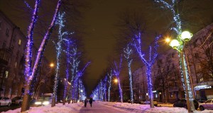 Image_00331