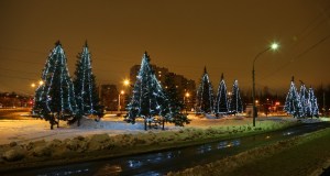 Image_0040