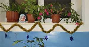 IMG-20230112-WA0020