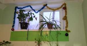 IMG-20230112-WA0026
