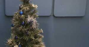 IMG-20230112-WA0030