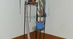 IMG-20230112-WA0032