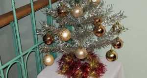 IMG-20230112-WA0033