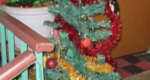 IMG-20230112-WA0041