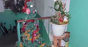 IMG-20230112-WA0042