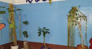 IMG-20230112-WA0050