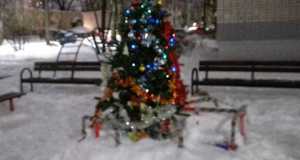 IMG-20230112-WA0089