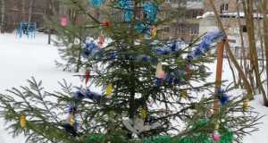 img-20231227-wa0019