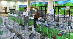 1e247dde_7ff1_406c_a1e9_6163a5560cfb