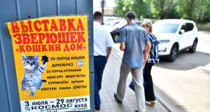 cfc9a7ca_fbc2_4977_acc9_3f6711c4aac5