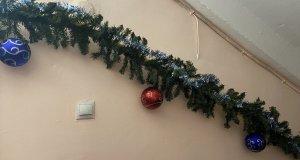 IMG_4343